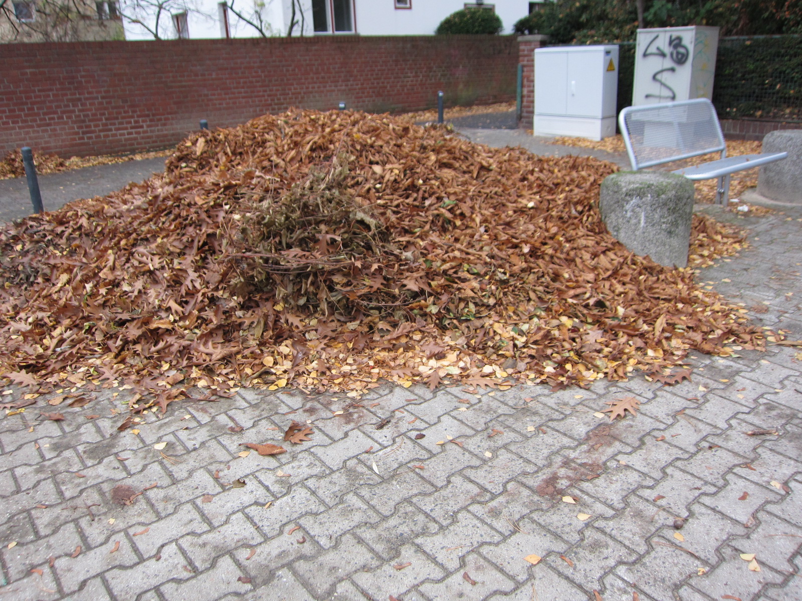 Laub, Laub, … – aber auch erlaubt? Laub, Laub, … – aber auch erlaubt?