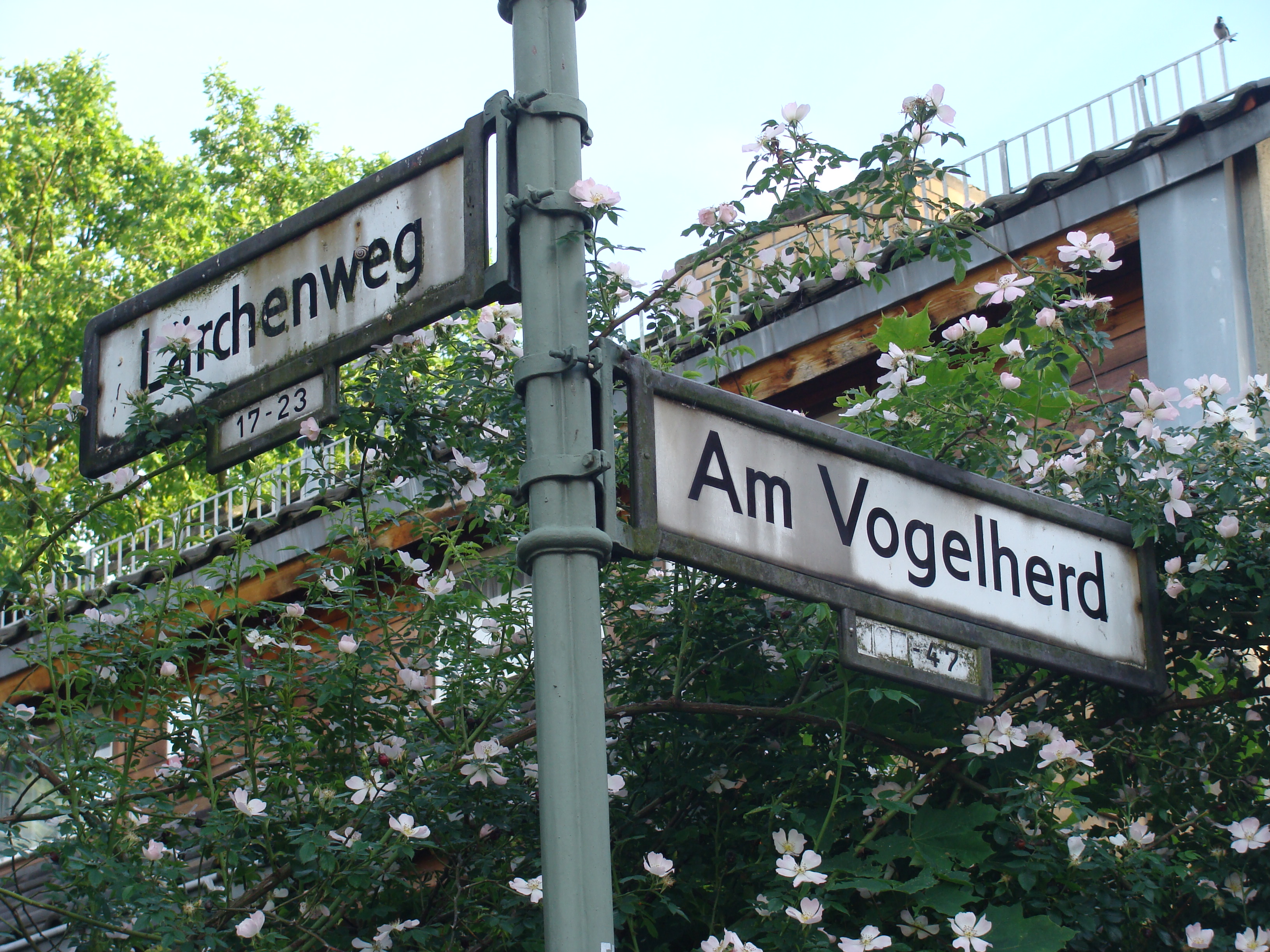 Spurensuche: Stolpersteinverlegung Spurensuche: Stolpersteinverlegung