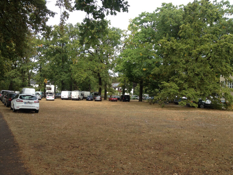 Wildes Parken auf der Wiese vor dem Mommsenstadion Haus