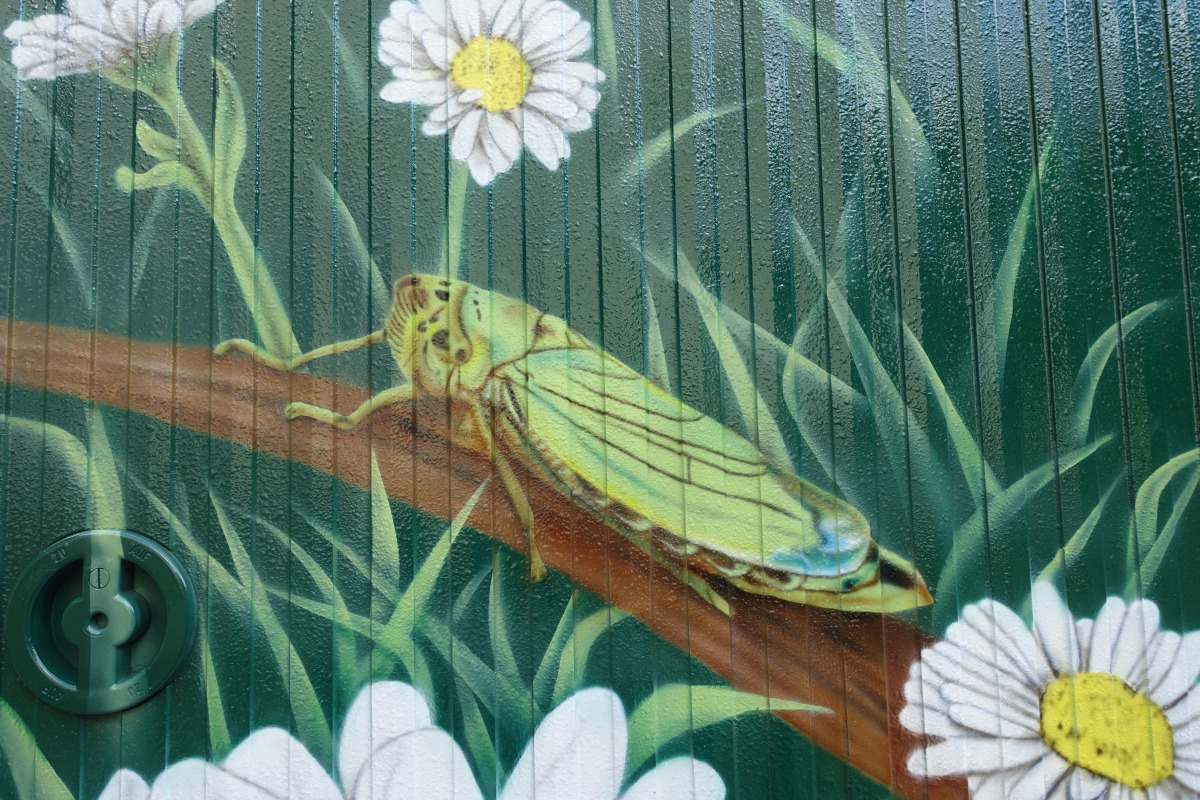 Straßenkunst vor dem Haus Eichkamp: eine Zikade Straßenkunst vor dem Haus Eichkamp: eine Zikade
